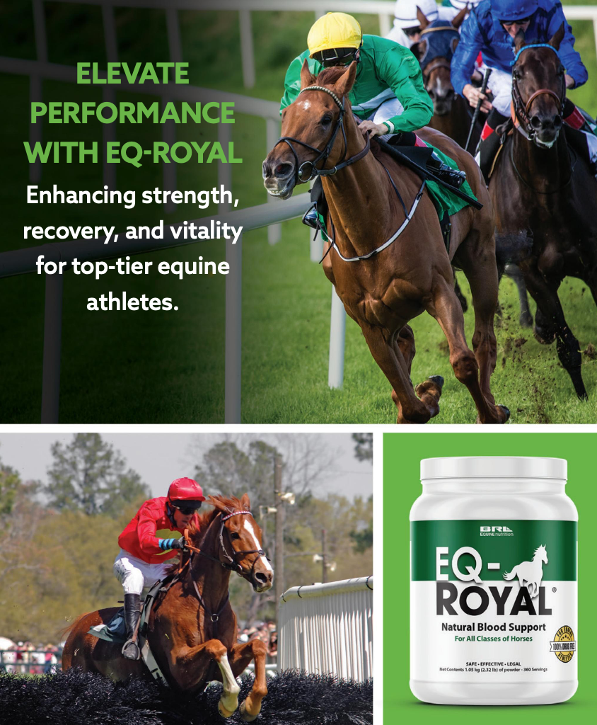 Power Up Your Horse's Performance with EQ-Royal Natural Blood Support