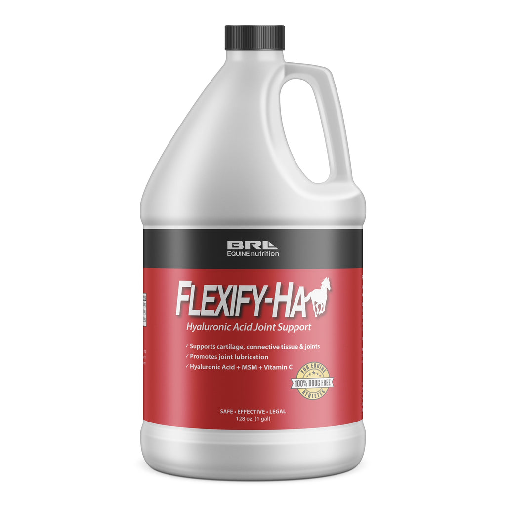 Keep Your High-Performance Horse Moving with FLEXIFY-HA: Advanced Joint Support